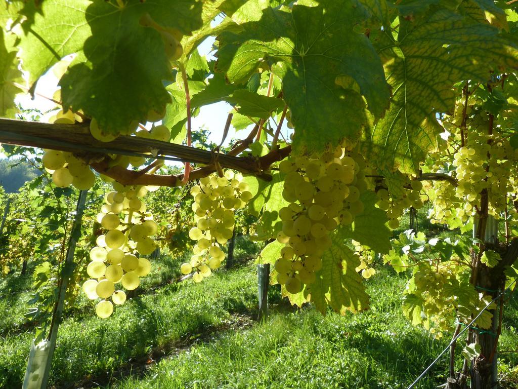 Weingut- Gästezimmer Marko Leutschach Exterior foto